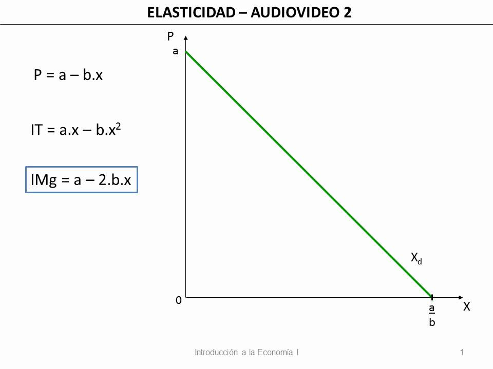 19 Elasticidad Precio Demanda e Ingreso Marginal