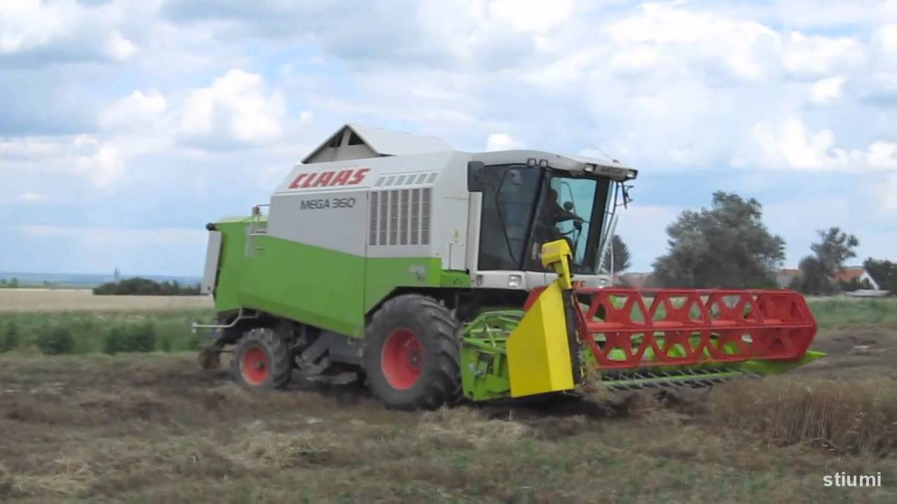 Agroszász Kft. [2010] Borsó aratás