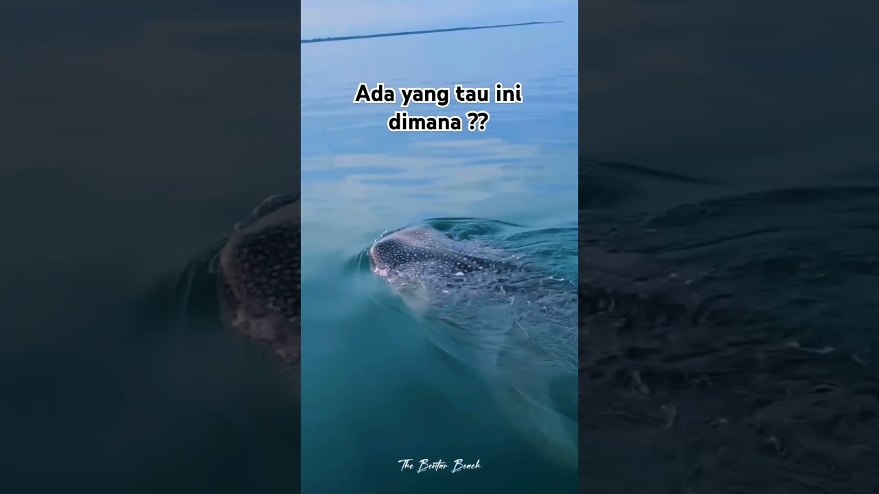 Indahnya Pantai Bentar Probolinggo #weloveprobolinggo #pantai #hiumegalodon