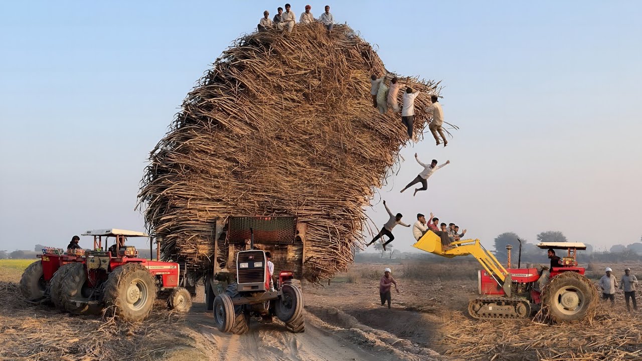 mf 385 pulling sugarcane trolley | 480 tractor amazing power 