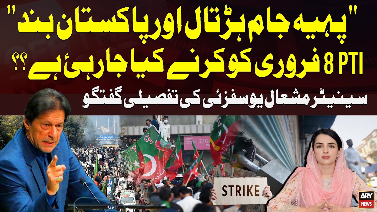 What is PTI planning on February 8? - Senator Mashal Yousafzai Explain