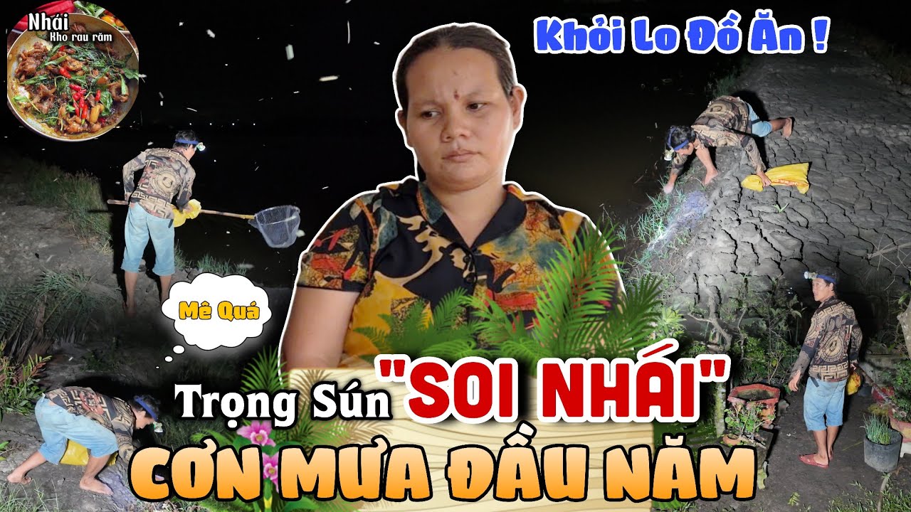Buổi Tối Cơn Mưa Đầu Năm Trọng Sún Đi Soi Nhái Ở Vuông Tôm Nhà Nam Khỏi lo Thiếu Đồ ĂN