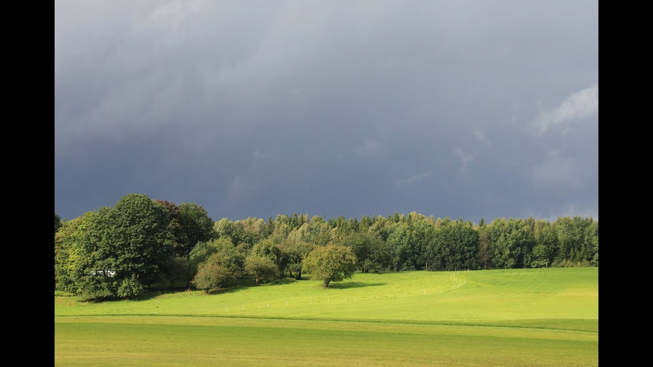 Autumn has come / Ruduo atėjo