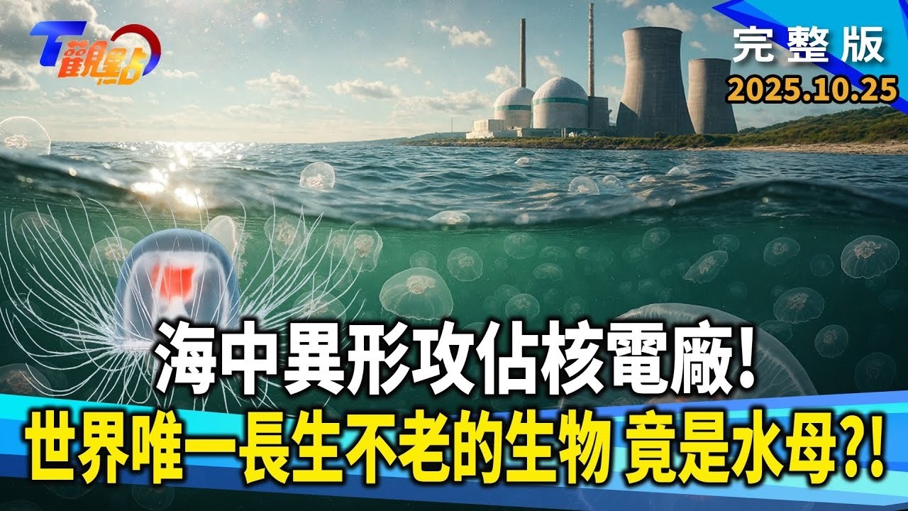 海中異形攻佔核電廠！世界唯一長生不老的生物 竟是水母？海洋沸騰讓水母大爆發！致命的美麗！ 2分鐘殺一人的箱形水母？【#T觀點】#完整版 20251025 #莊開文 #謝泓諺 #潘彥宏 #水母