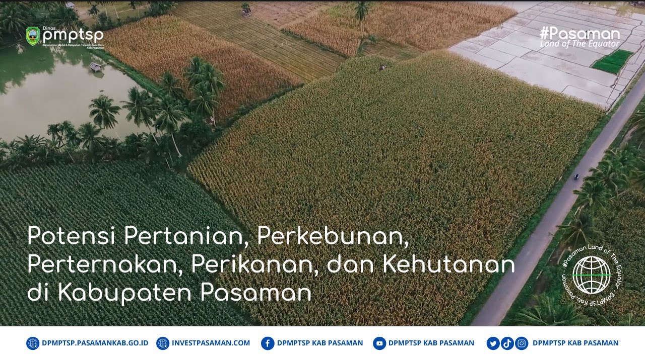 Potensi Petanian, Kehutanan, Perternakan, dan Perikanan di Kabupaten Pasaman