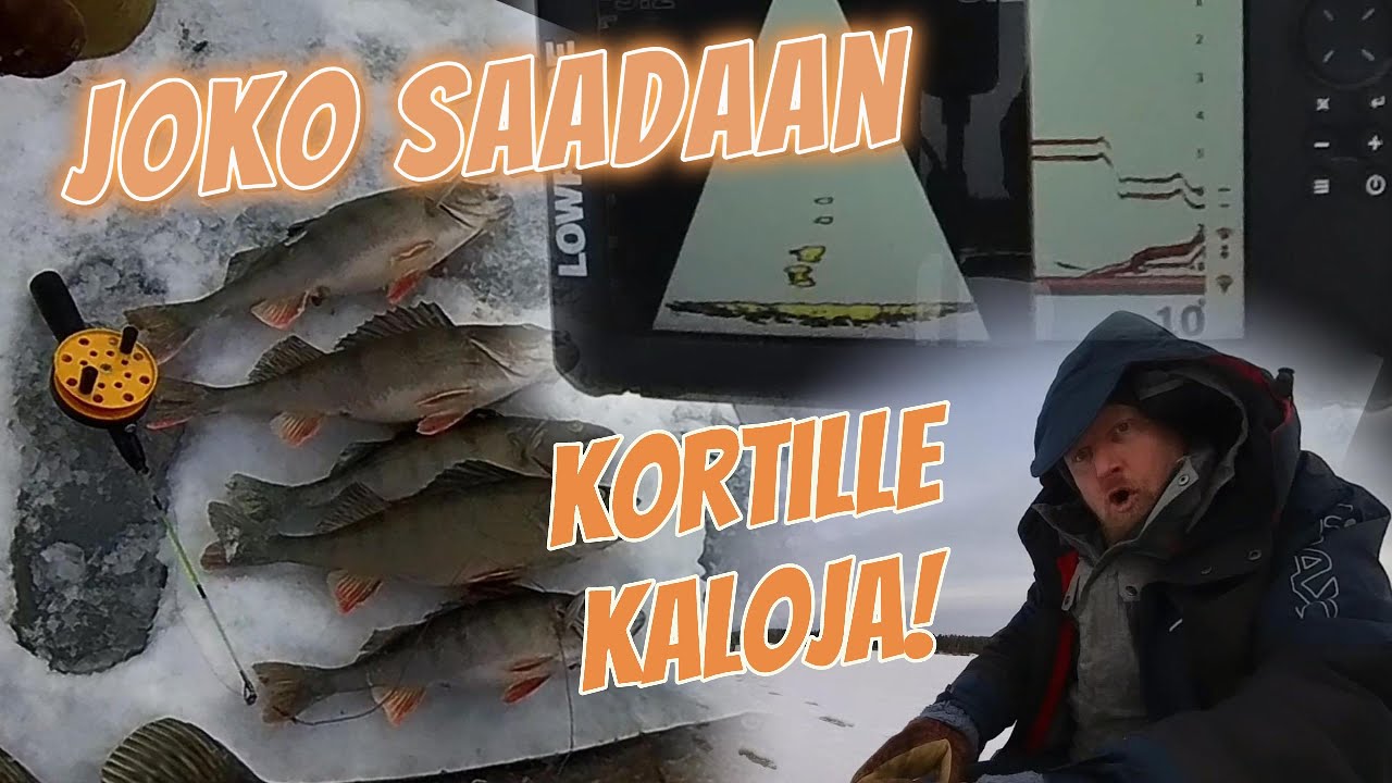 Joko jättikalat syö?