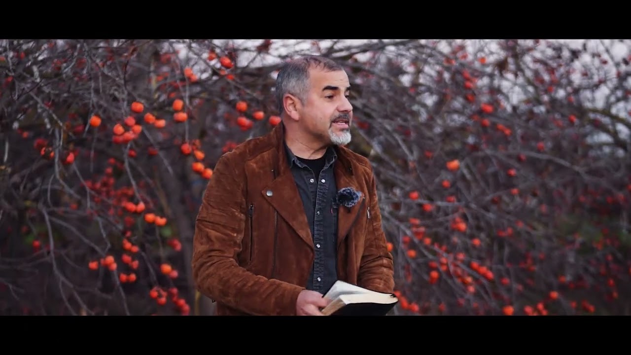 Shmita — The Sabbatical Year of Rest