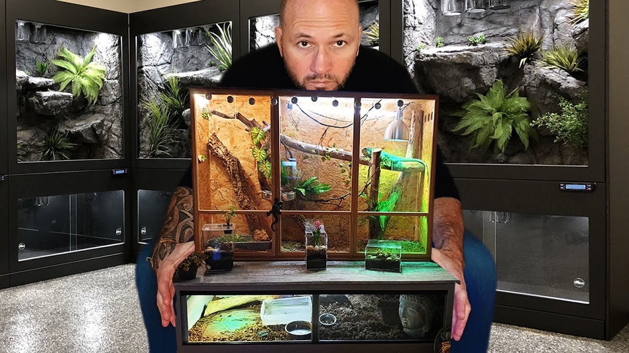 TOUS MES TERRARIUMS REPTILES