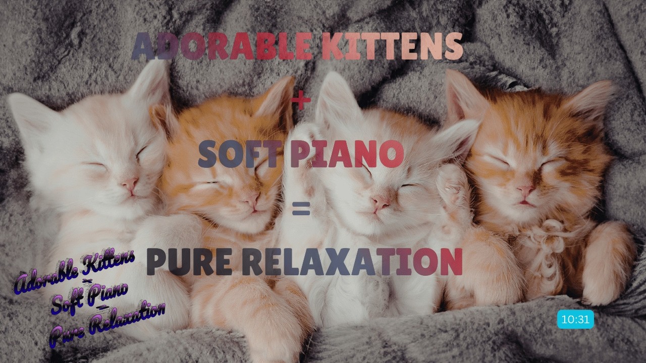 Cute Kittens Relaxing | Soft Piano Music | No Talking | Stress Relief Video