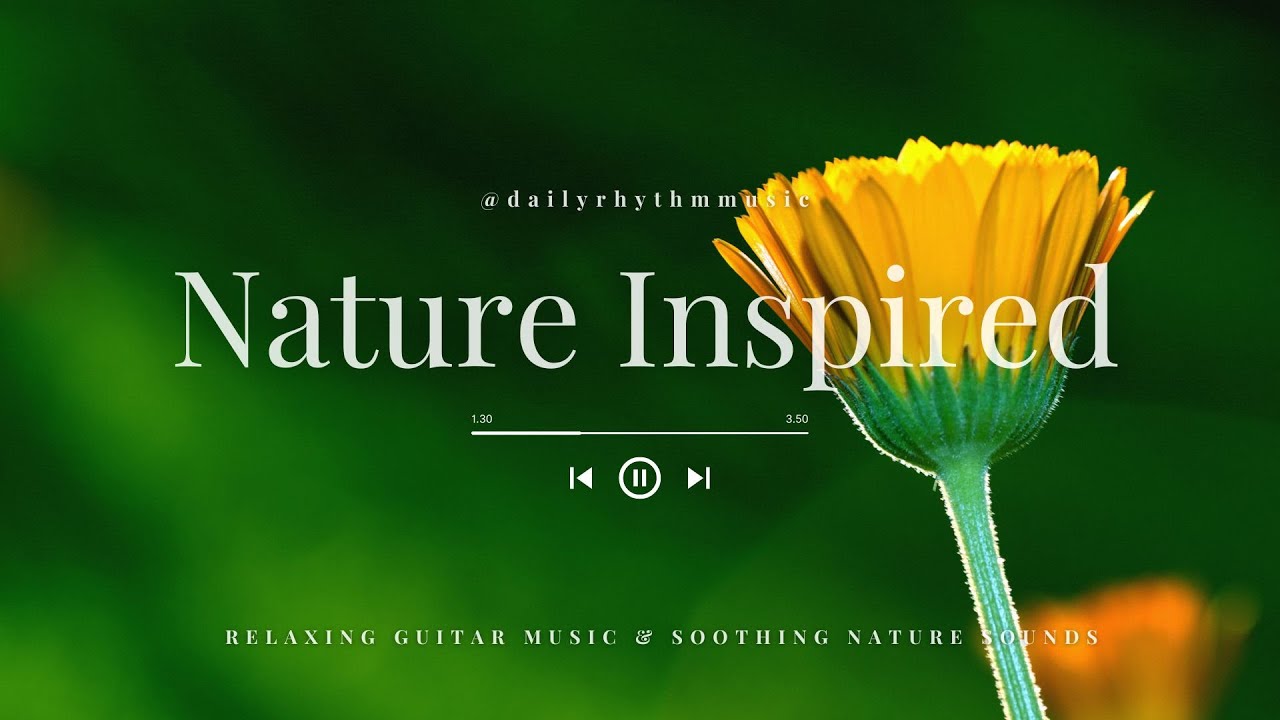 Nature Inspired 🌿 Relaxing Guitar Music for Focus & Relax