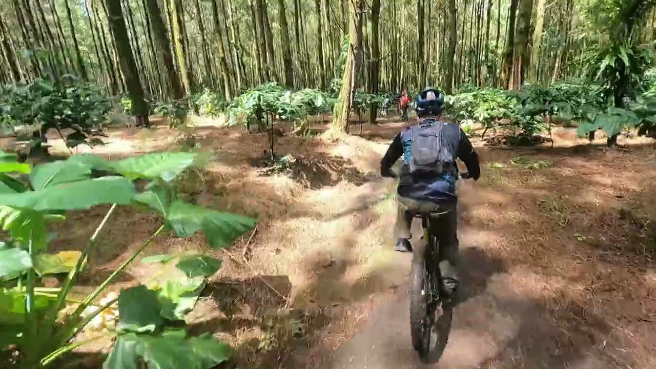 Kebut-Kebutan di Jalur MTB Enduro Petak 56 Jember bersama Polygon & United Riders