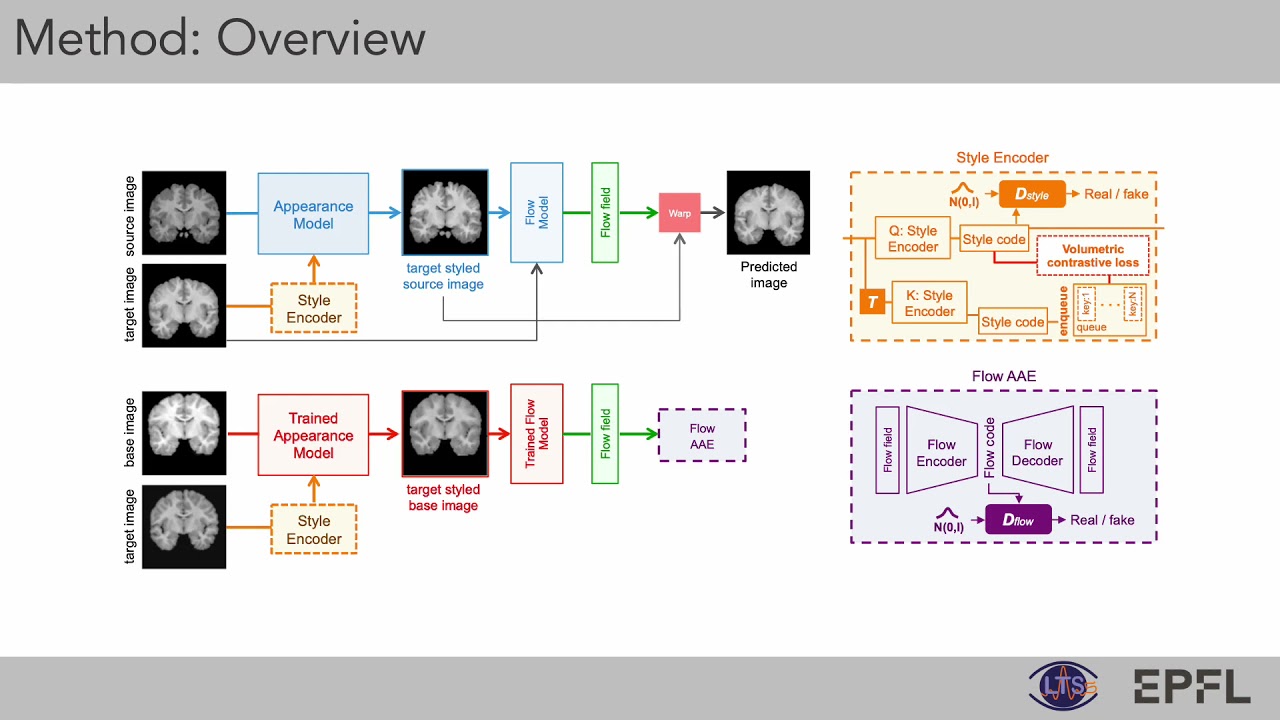 Self-Supervised Generative Style Transfer for One-Shot Medical Image Segmentation