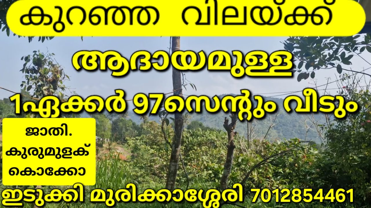 SOLD OUT 28ലക്ഷം രൂപയ്ക്ക്.ആദായമുള്ള 1ഏക്കർ 97 സെന്റും വീടും.വഴി.വെള്ളം. ഡോക്യുമെന്റ് മുരിക്കാശ്ശേരി