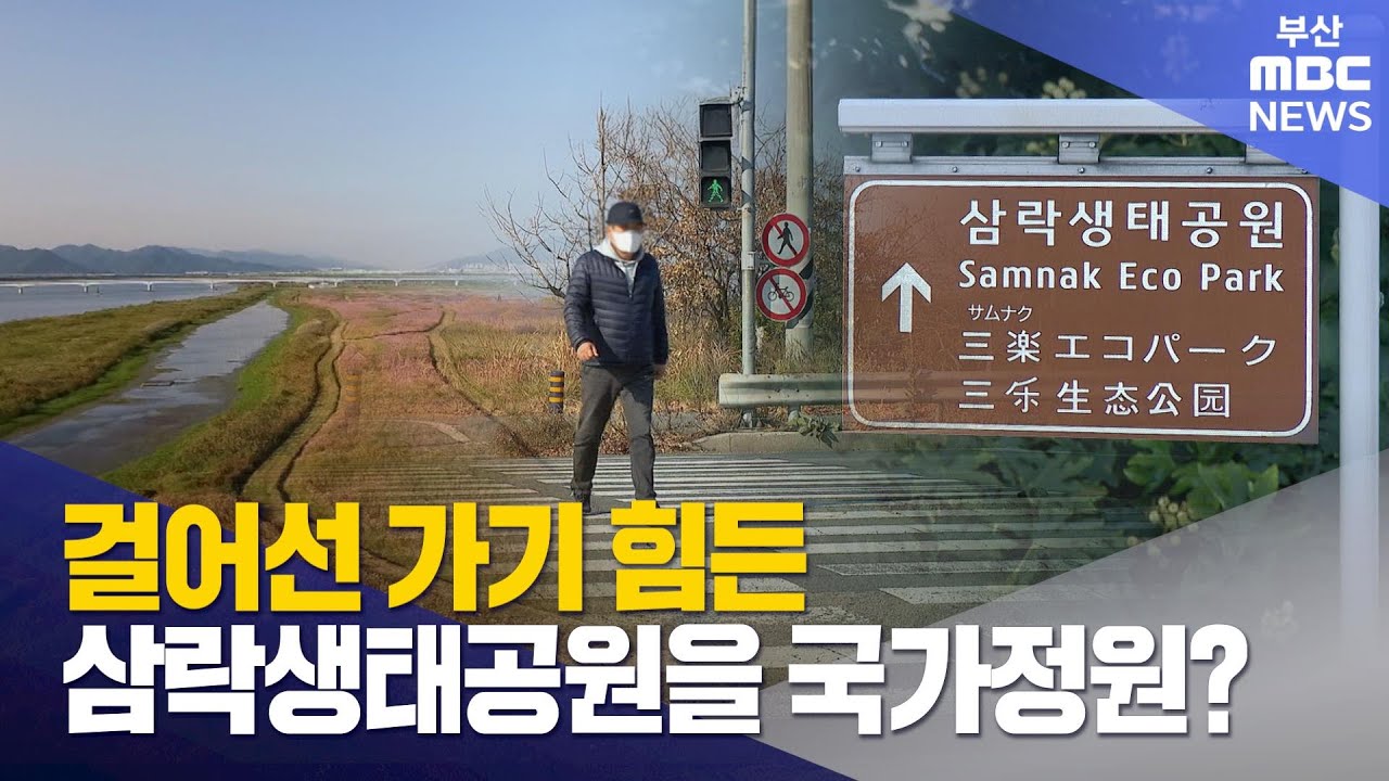 걸어선 가기 힘든 삼락생태공원을 국가정원? (2025-12-17,수/뉴스데스크/부산MBC)