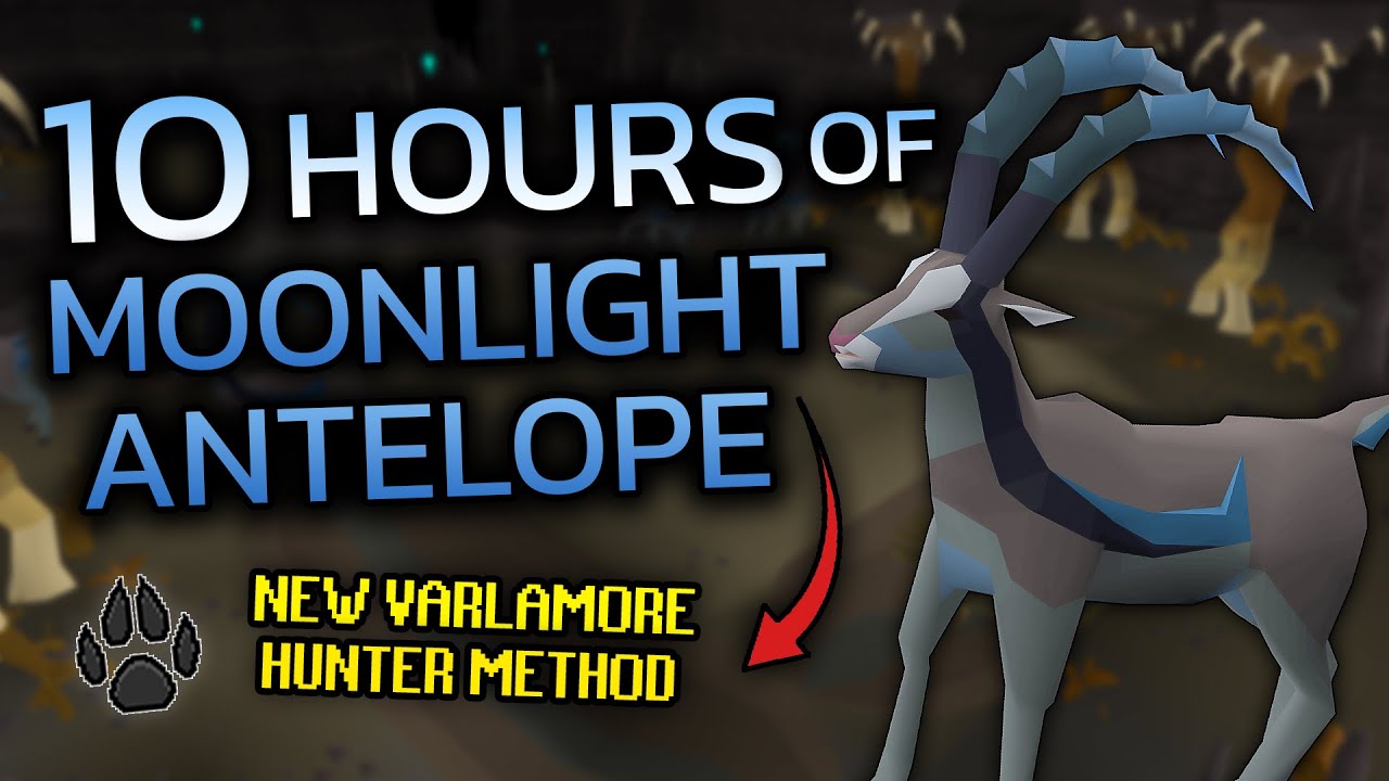 Loot From 10 Hours Of Hunting Moonlight Antelopes