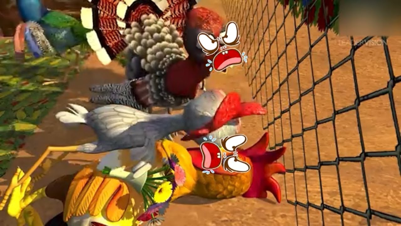 El pavo y la pava HD - Canciones de la Granja de Zenón 1 efeito sonoro mais fofo