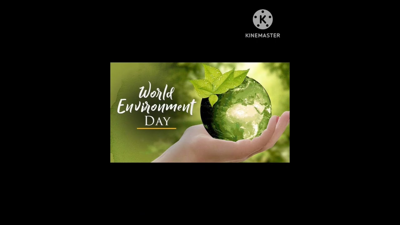World Environment DayCelebration 5 June #world invirment day #paryavaran  #5june #status #shortvideo