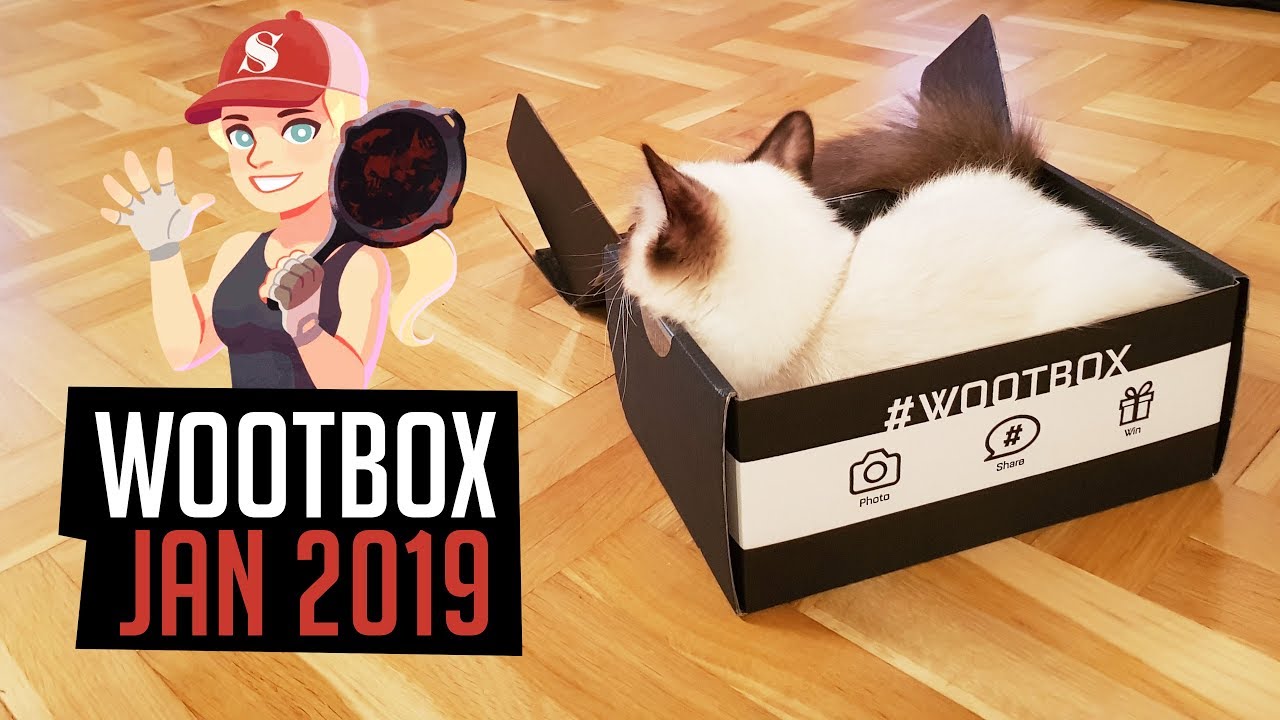 #WOOTBOX 01/2019 - Die mysteri&ouml;se Bratpfanne!
