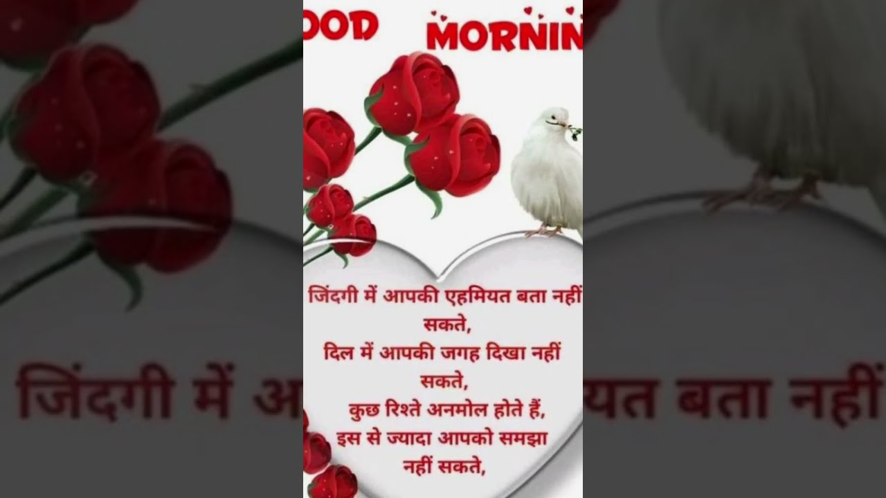 Pooja Singh is live