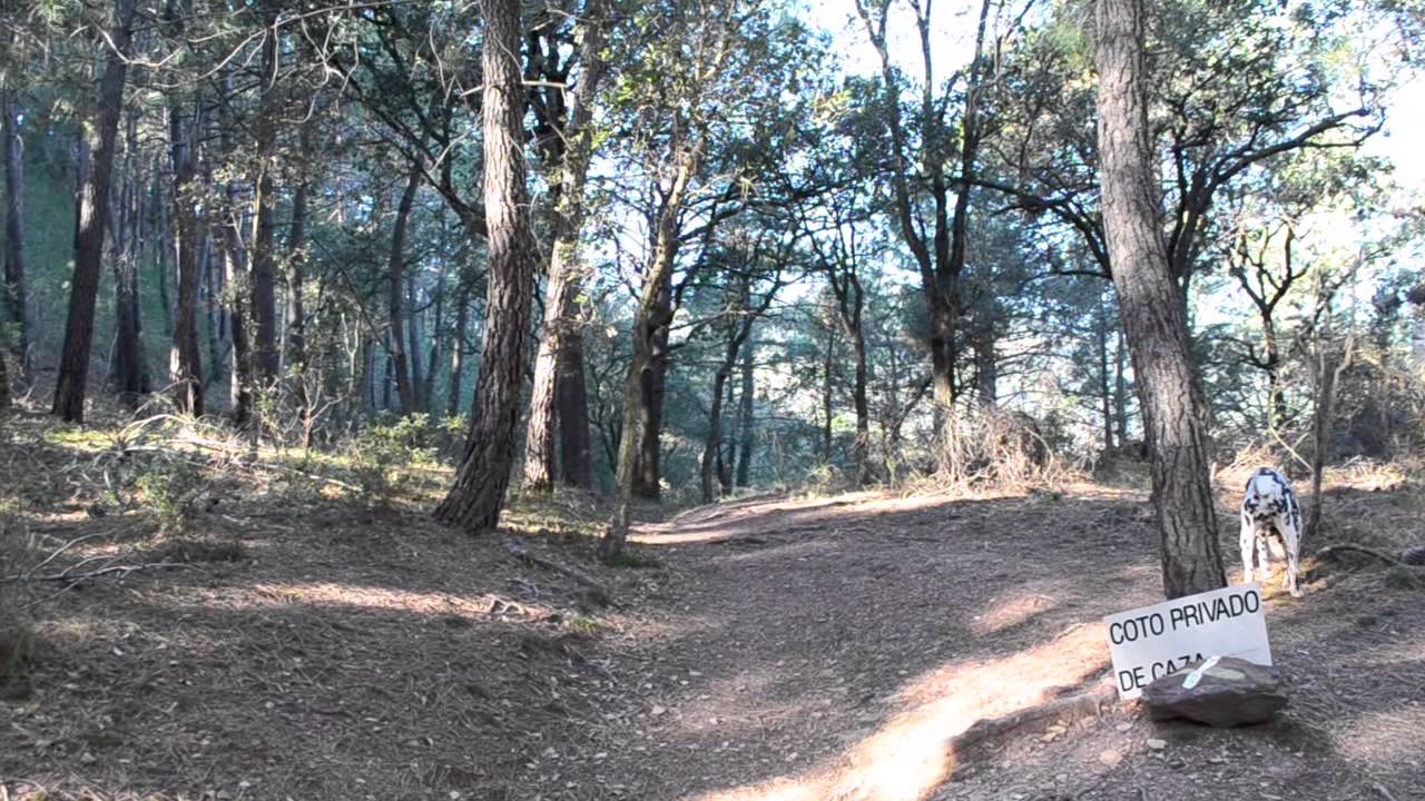 GR 36 Etapa Veo - Torralba del Pinar