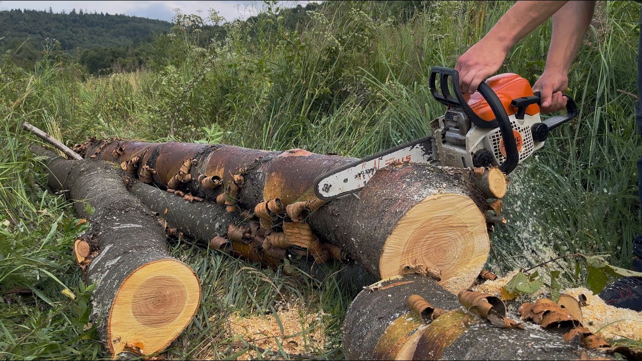 Чи потужний STIHL - MS 180 в роботі 