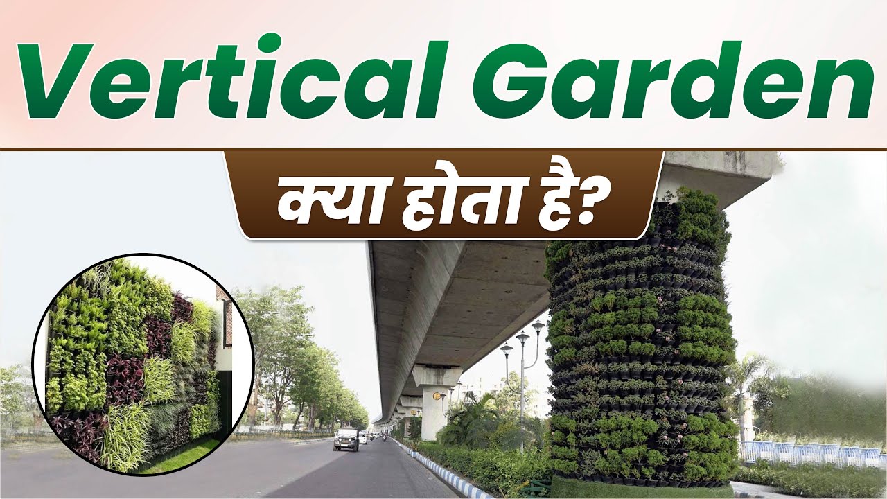 Vertical Garden क्या होता हैं | आज vertical gardening क्यों जरुरी हैं | #verticalgardening