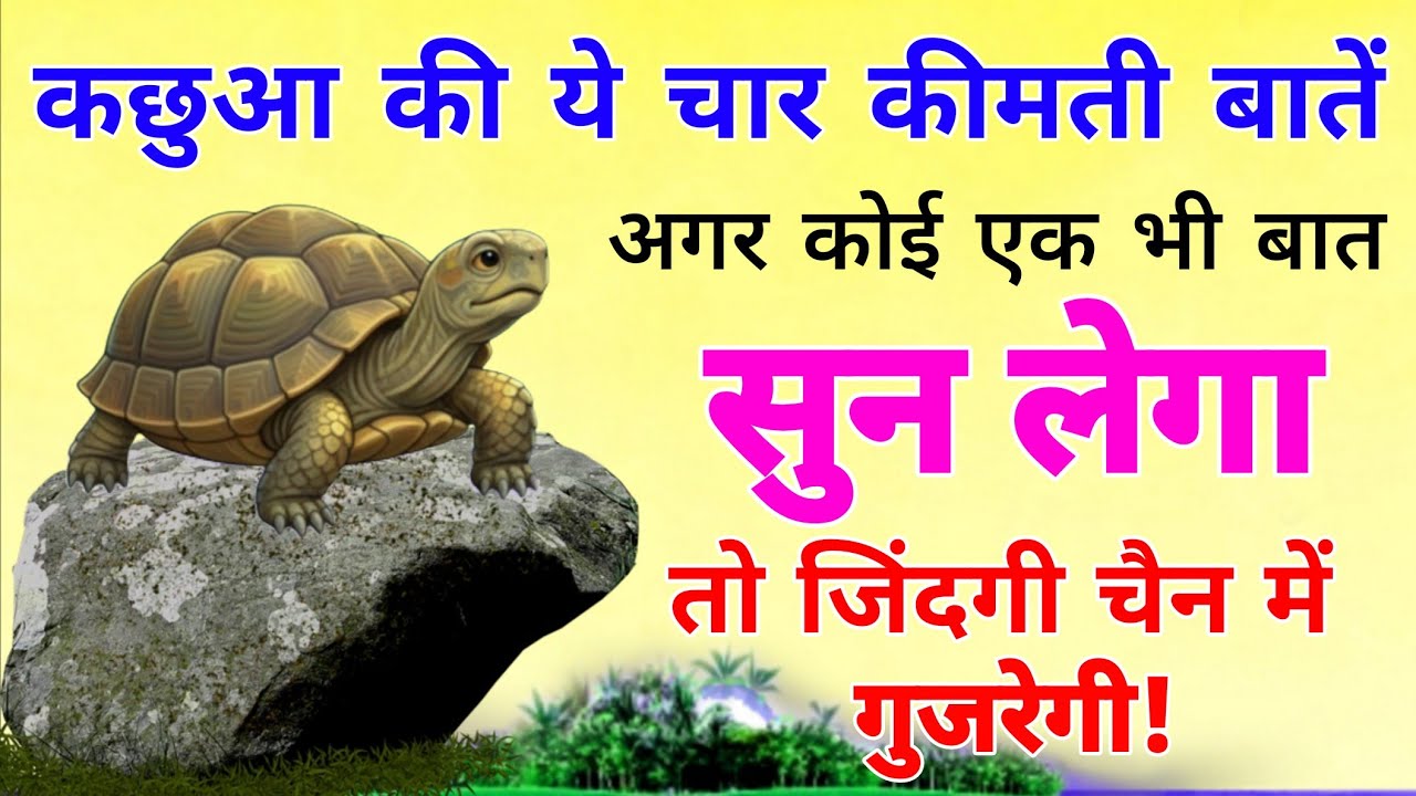 कछुआ की यह चार कीमती बातें, अगर कोई एक भी बात ध्यान से सुन लेगा तो जिंदगी चैन में गुजरेगी!