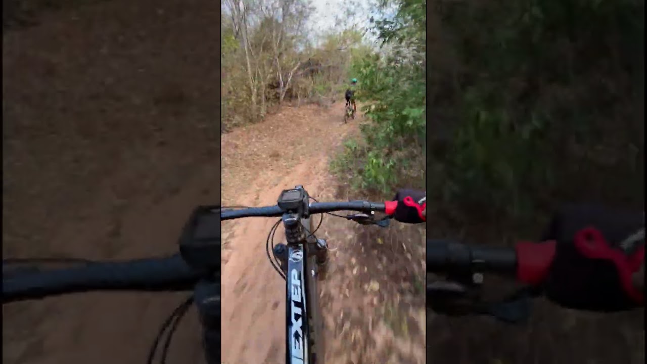BIKE SHOW NEXTEP 2025 EM A&Ccedil;&Atilde;O