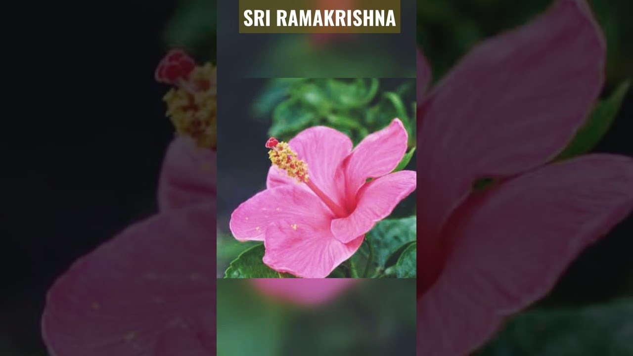 SRI RAMAKRISHNA STOTRAM #sriramakrishna #stotram #kartickpal