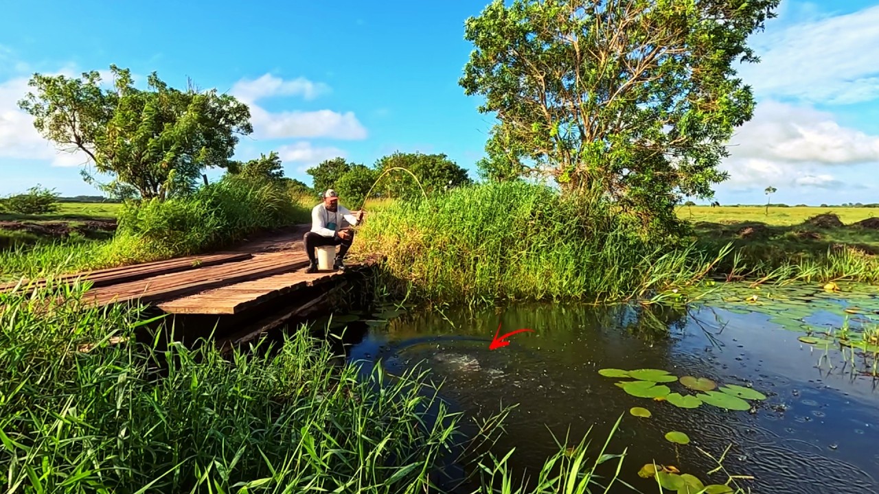 Quase deu tudo errado&hellip; mas essa ponte me salvou! Veja o que aconteceu!!! Pesca caipira.