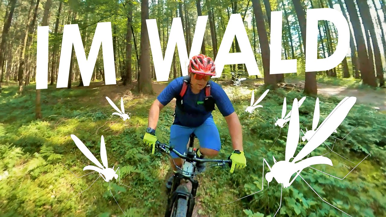 Mountainbike im Wald - MTB Film Mountainbike Trails im Wald
