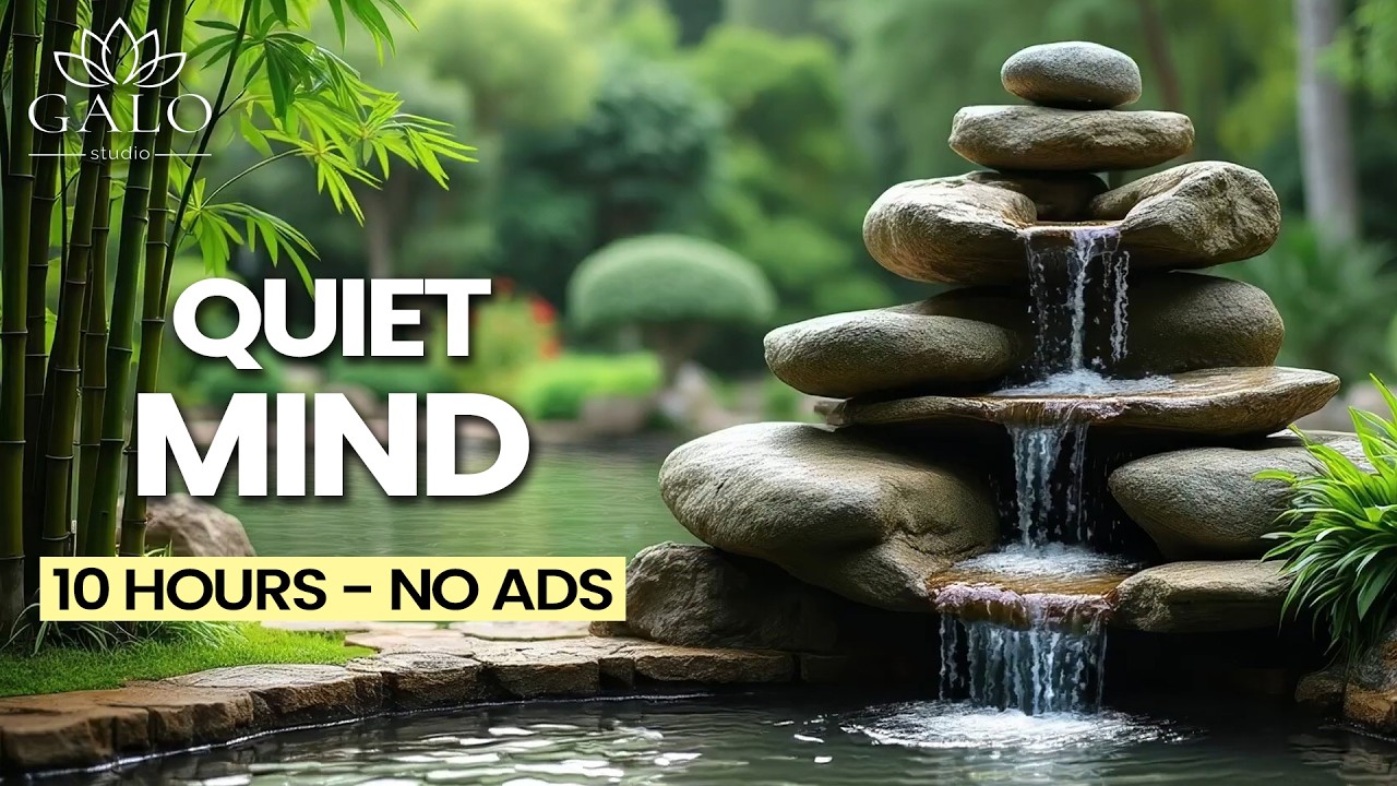 🌿 Feeling Overwhelmed? This Nature Music Will Calm You Instantly No Ads | Galo Studio Zen #asmr