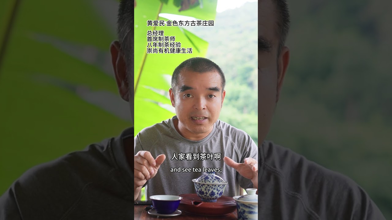 为什么在国外，中国茶搞不赢日本抹茶#中国茶 #原叶茶 #抹茶 #乌龙茶
