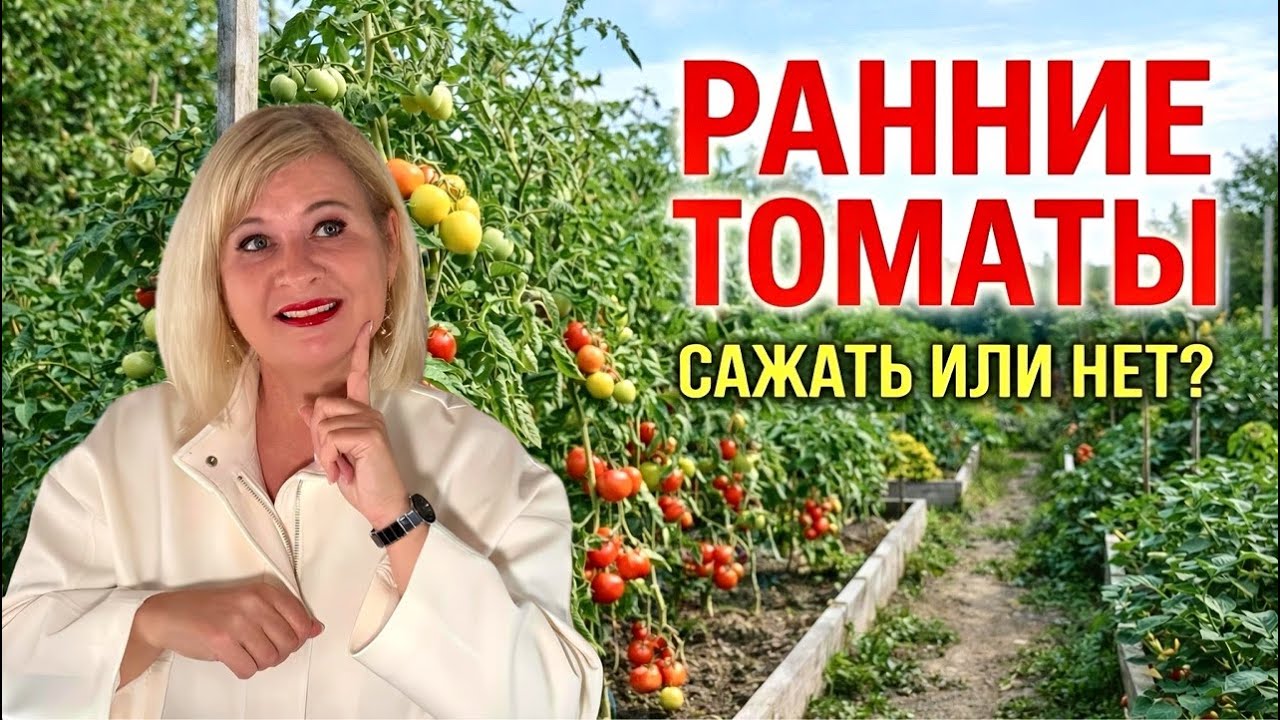 РАННИЕ ТОМАТЫ!🍅🍅🍅ВКУС ПРОТИВ СКОРОСТИ!🗼😋