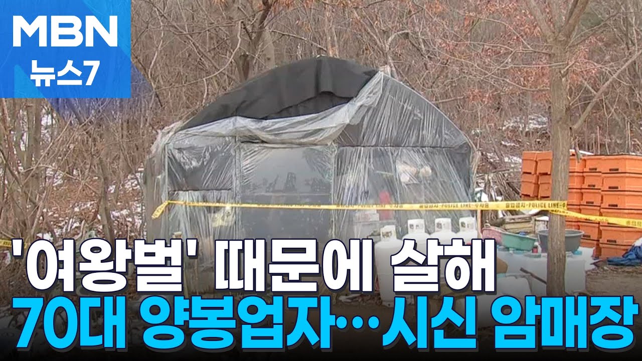 '여왕벌' 없는 벌통 때문에&hellip;70대 양봉업자 살해 후 암매장 [MBN 뉴스7]