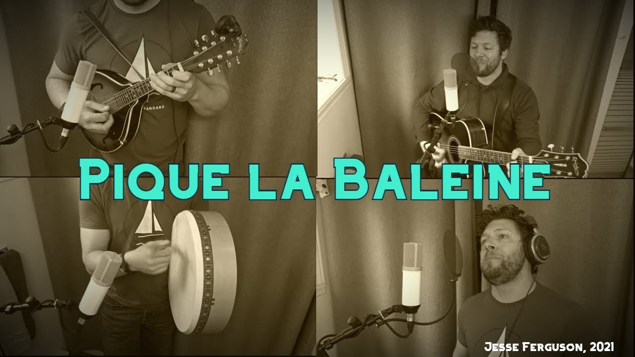 Pique la Baleine