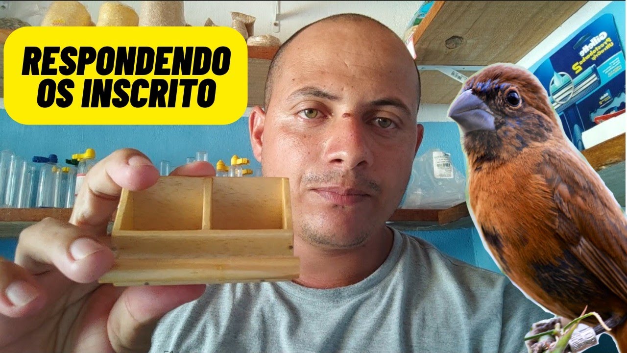 AZUL&Atilde;O pardo n&atilde;o t&aacute; cantando e nem chamando como fazer abrir canto?