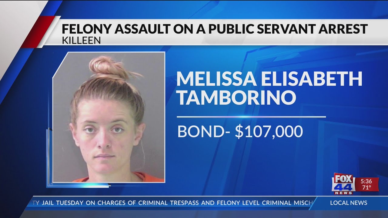 Felony Assault on a Public Servant Arrest