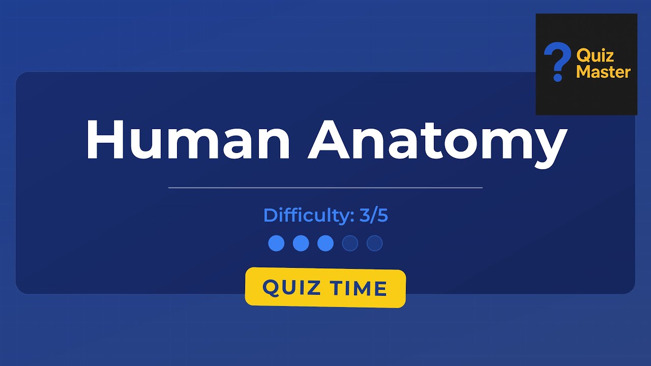 Quiz: Human Anatomy (Difficulty 3/5)