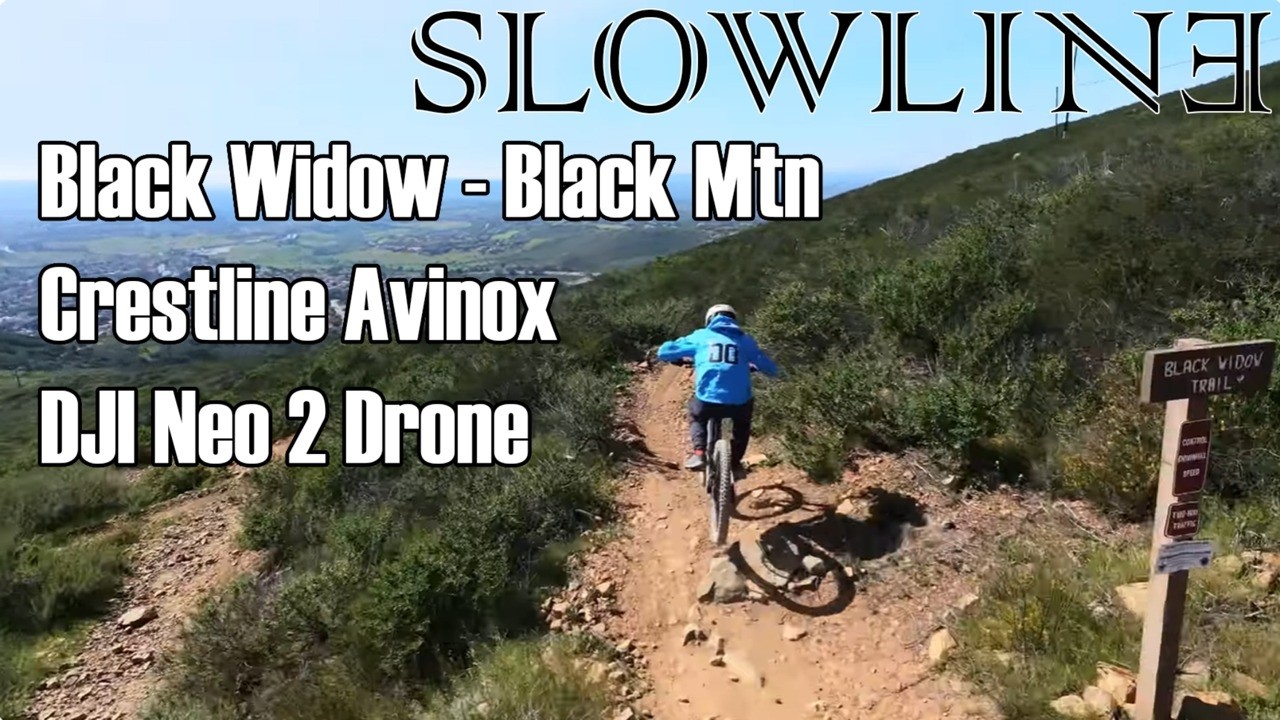 Black Widow.  Crestline Avinox. DJI Neo 2