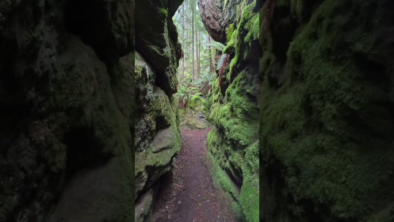 Nook trail Tiger Mtn Jan 29,  2026