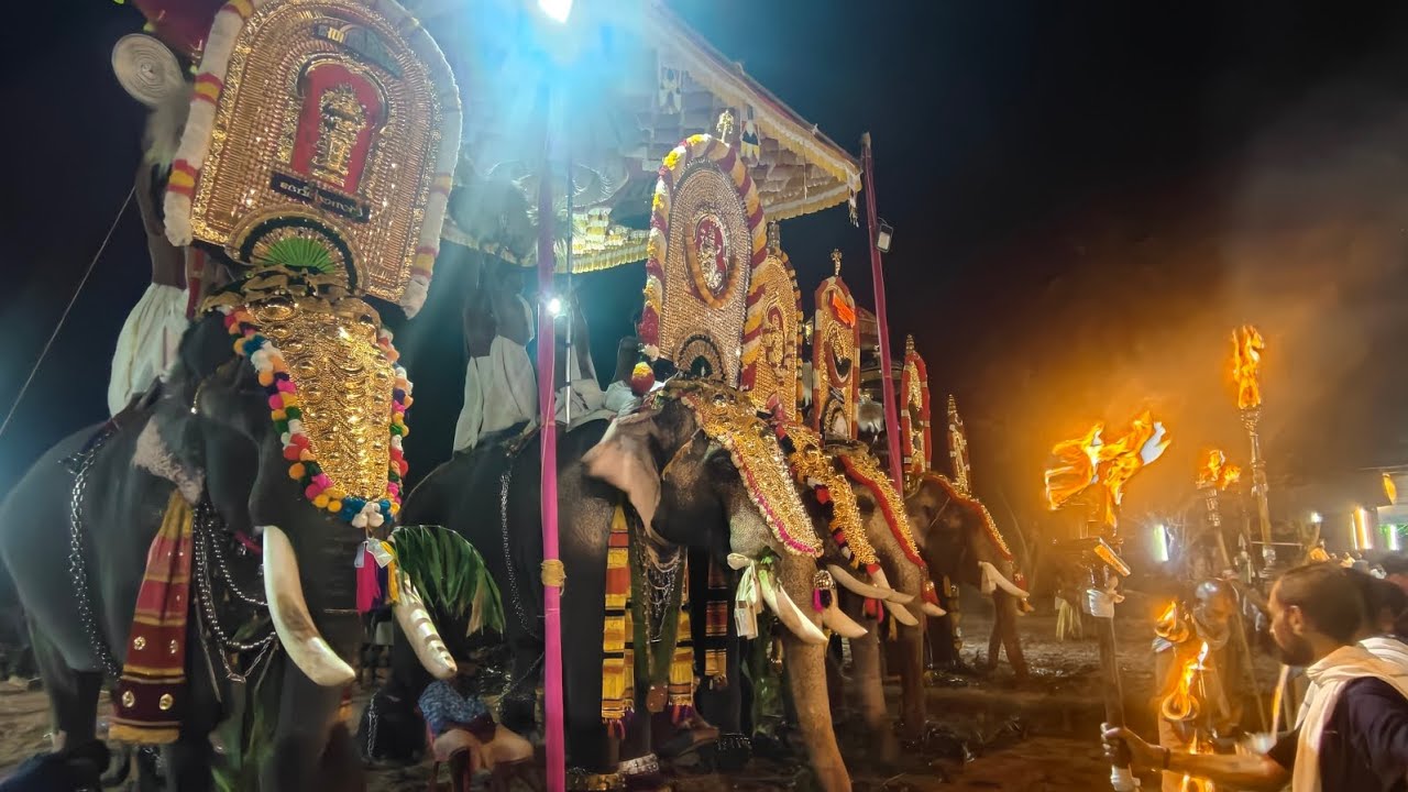 പാമ്പാട്ടിക്കുളങ്ങര പൂരം 2026 | Pampattikulangara Pooram 2026