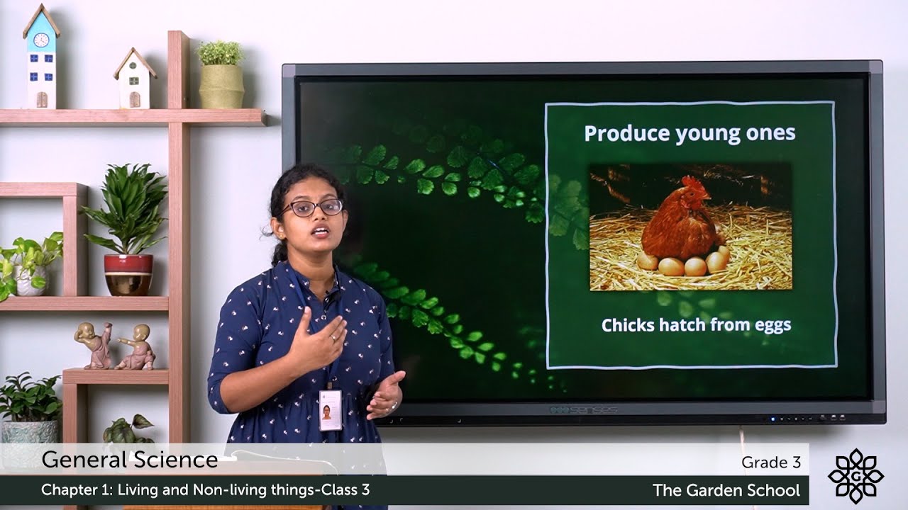 Grade 3 General Science Chapter 1 Class 3 Living Things Part 3