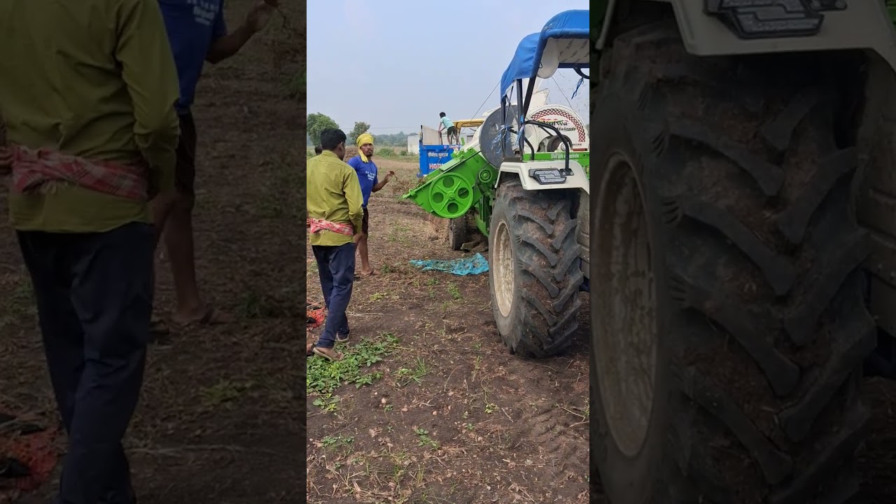 Malwa said tokri gela sukha soyabeen madhya pradesh 