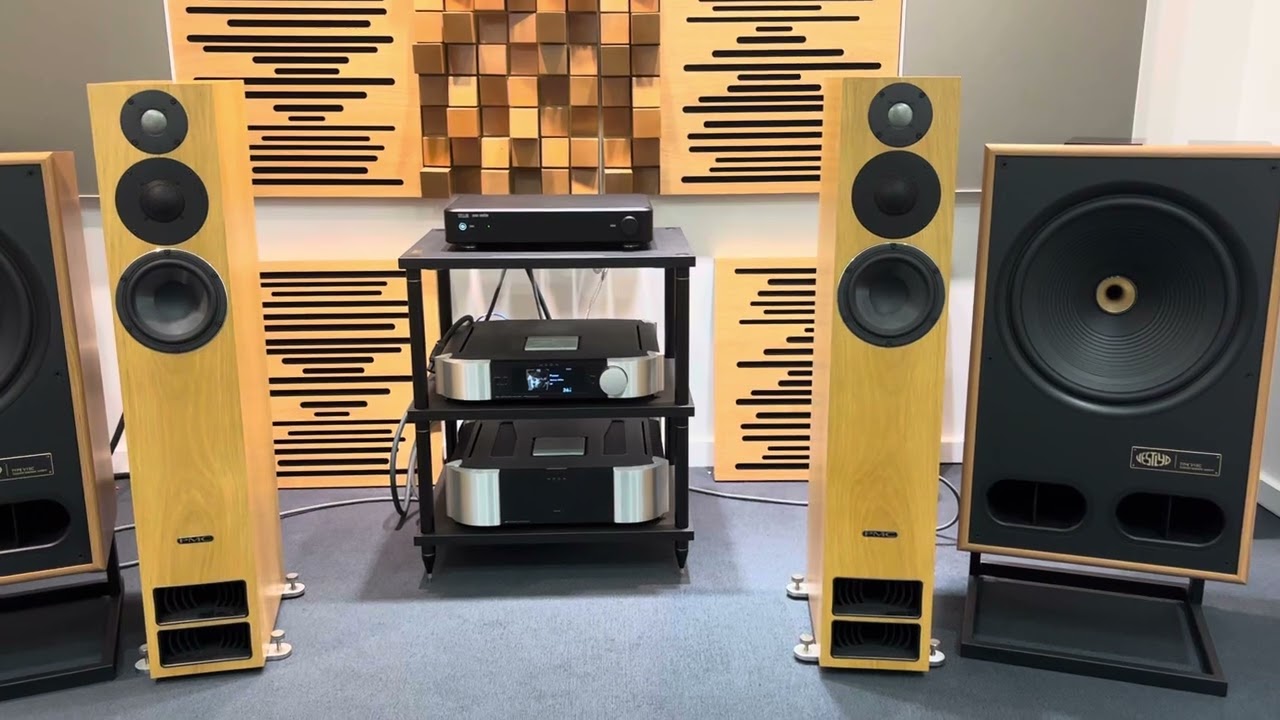 STELLAR AMP vs MOON 761@PMC Twenty5 26i   2/2 (STELLAR AMP)