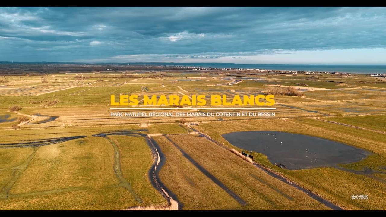 Les Marais Blancs