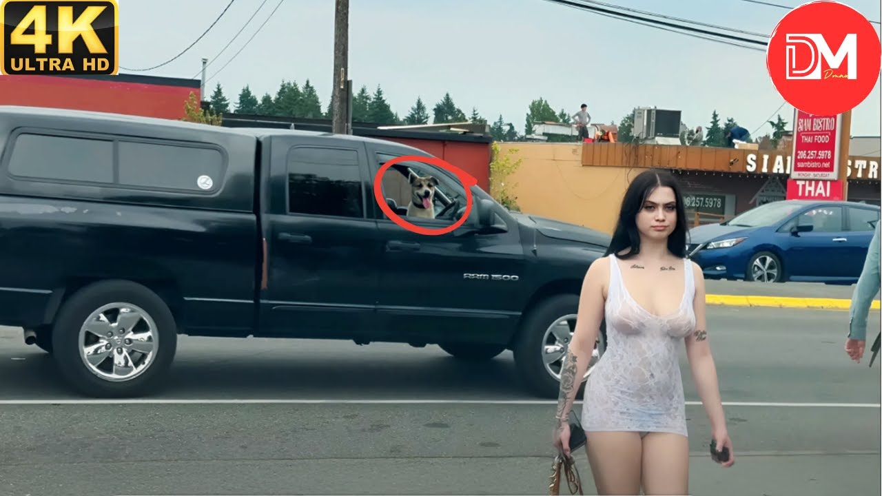 Women Embarrassing Moments Caught on CCTV #8| TOTAL IDIOTS AT WORK | Instant Regret Compilation 2025