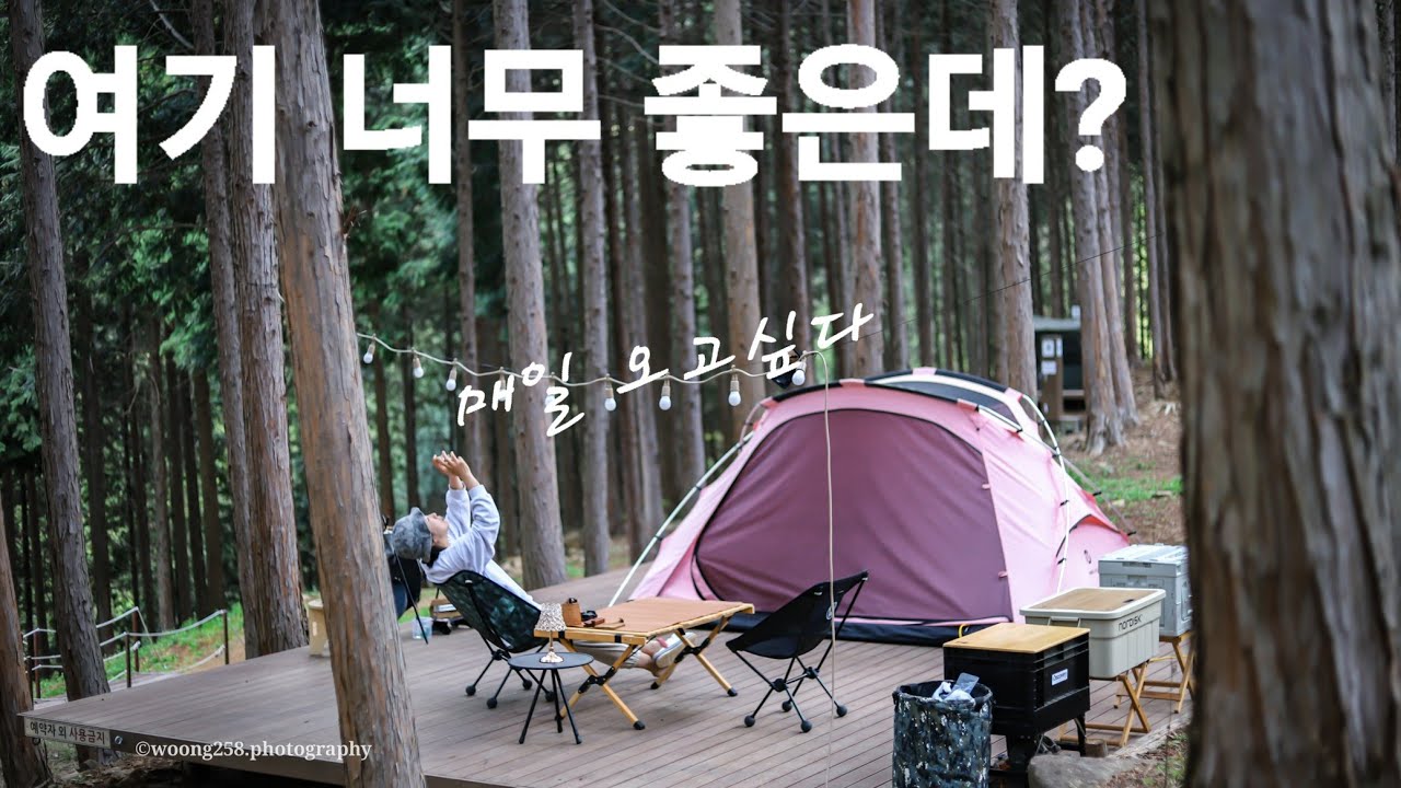 찾았다! 진짜 매일 오고 싶은 캠핑장!  1.5만원에 즐길 수 있는 최고의 장소, 이런곳이 숨어 있었다니~ 편백나무 숲속 피톤치드 휴양림 camping