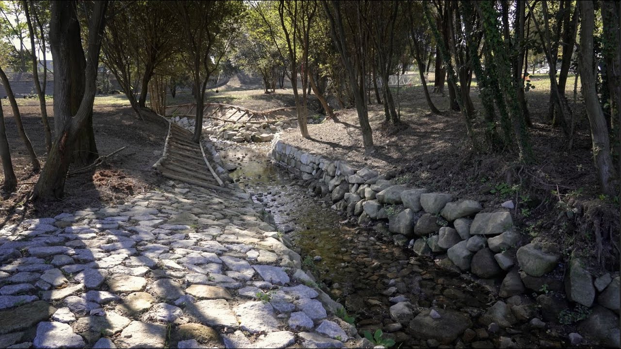 Nasce um novo parque urbano na Asprela
