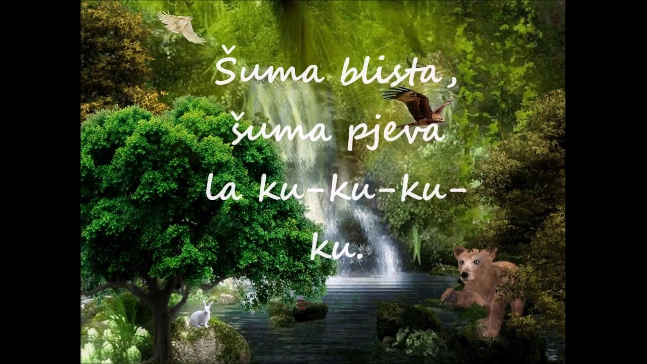 Proljeće u šumi